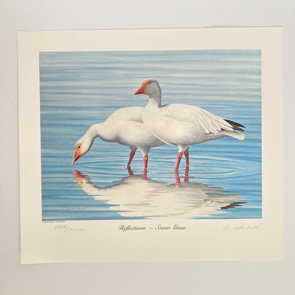 1985 Snow Geese Bob Kothenbeutel Artist Signed Numbered Ltd Edition Wild Images - Picture 1 of 4